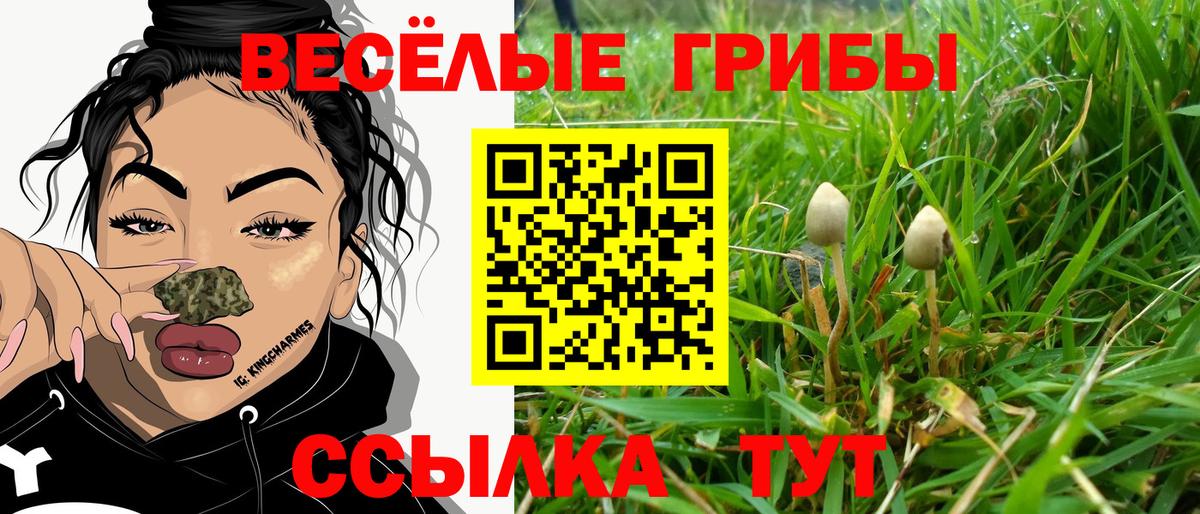 Псилоцибиновые грибы ЛСД  Вход с VPN  Жуковский 